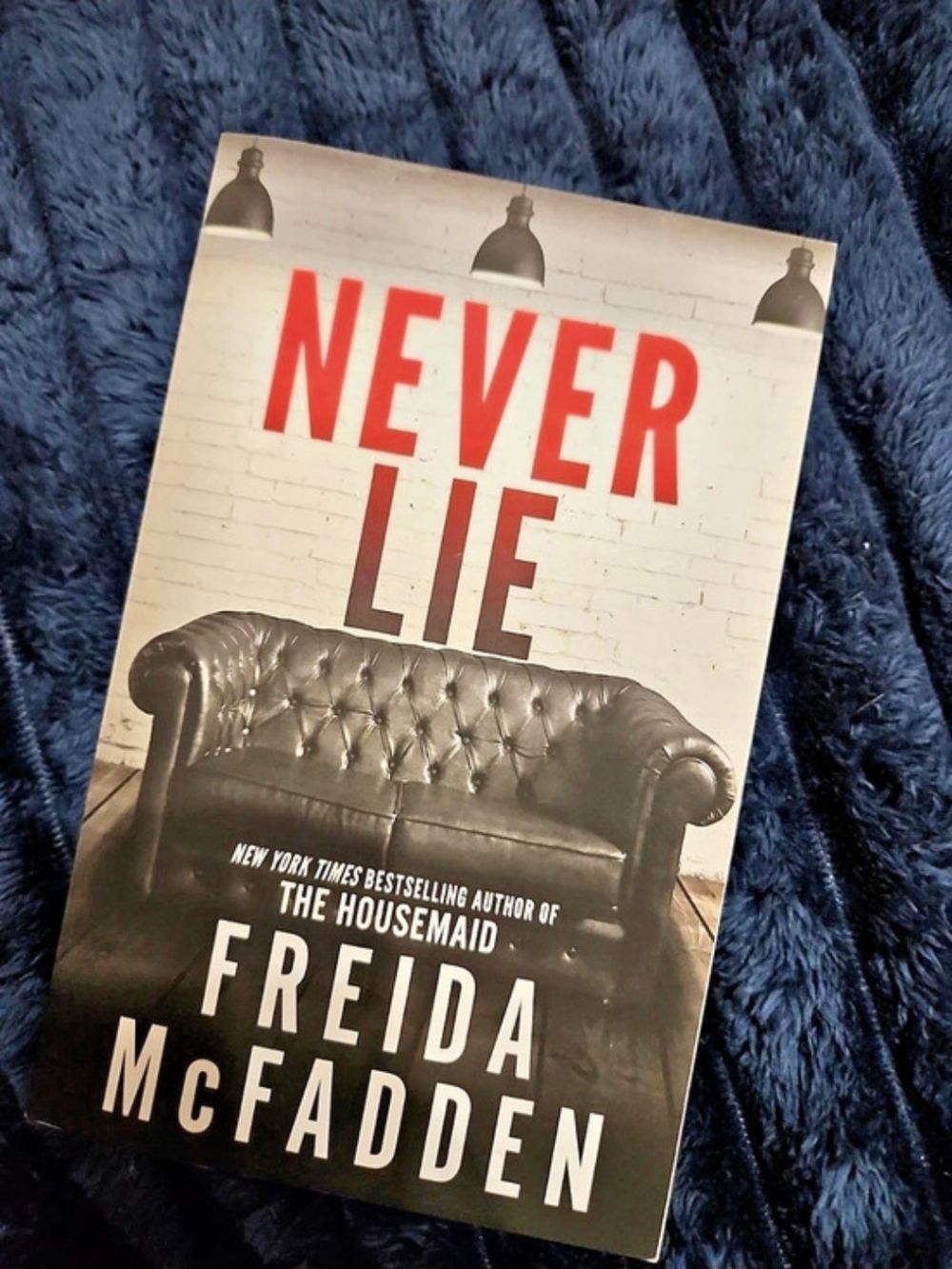 Never Lie Freida McFadden Paperback Book